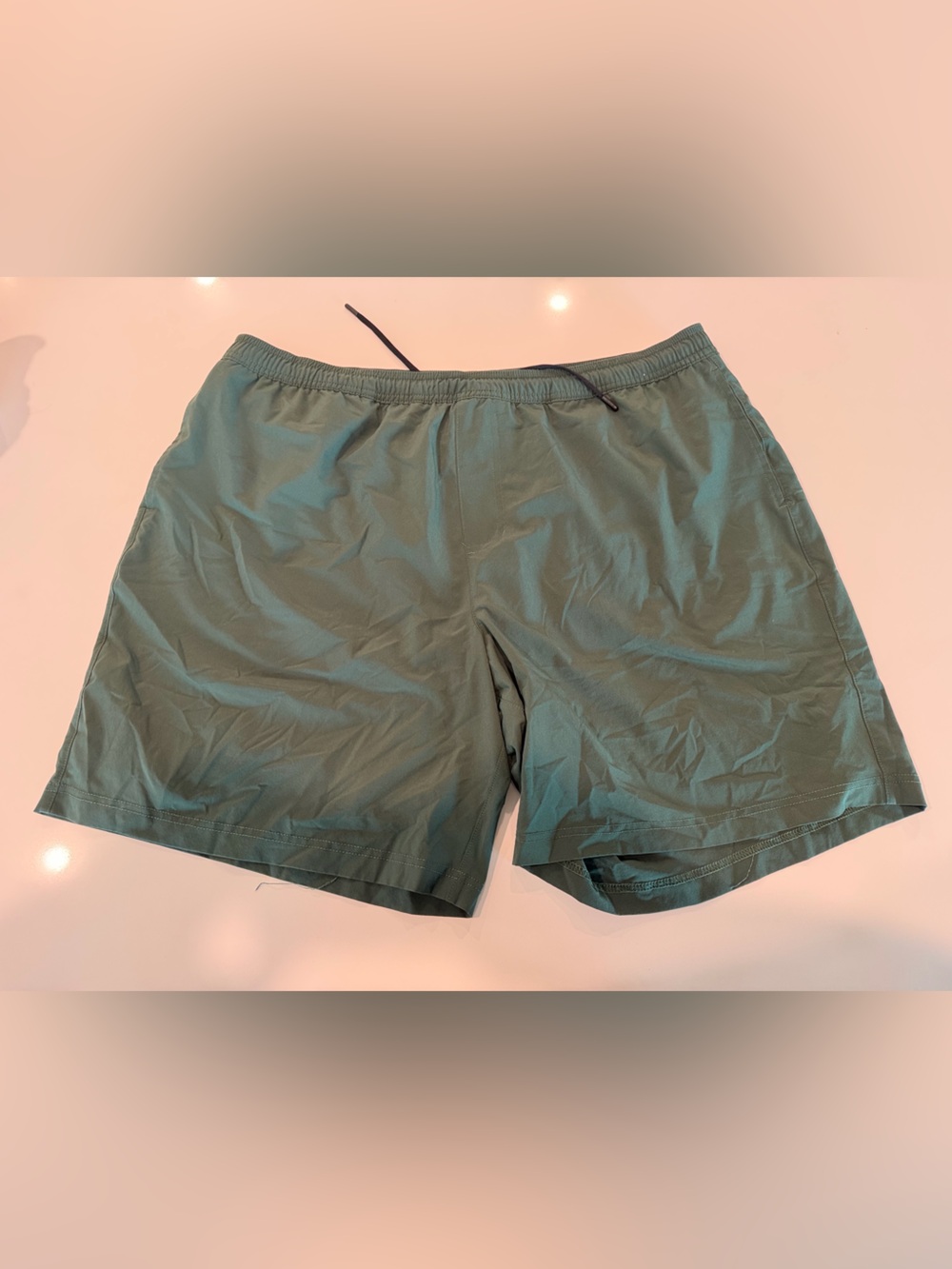 Chubbies Short